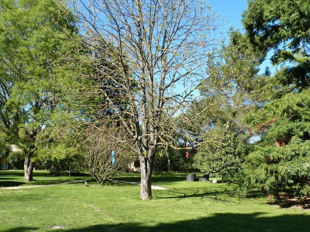 Domaine De Rhodes B&B Avignon Buitenkant foto